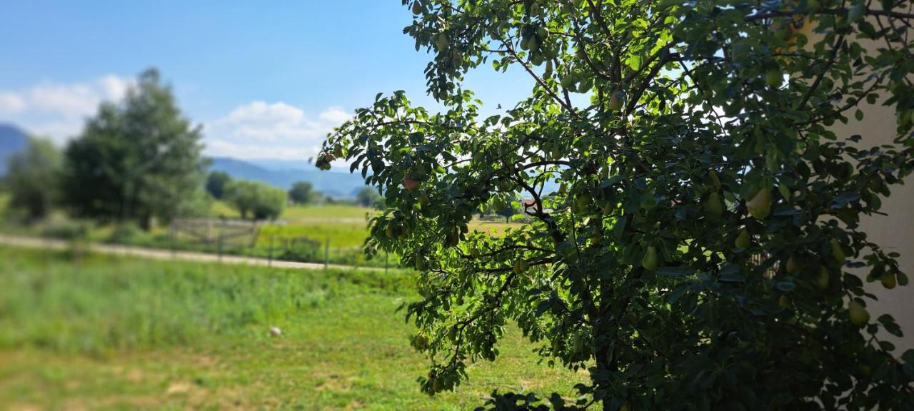 Apartmán Topla Porodicna Kuca Berane Exteriér fotografie